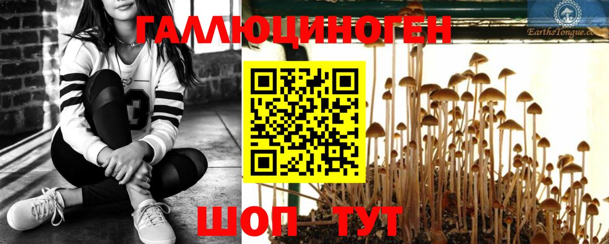 Галлюциногенные грибы ЛСД Юрга