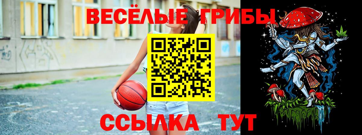 Юрга  Псилоцибиновые грибы GOLDEN TEACHER  Вход с VPN  Псилоцибиновые грибы ЛСД 